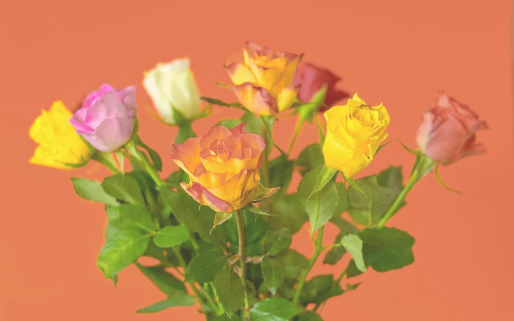 Advanced flower diagnostic equipment used for plant health analysis