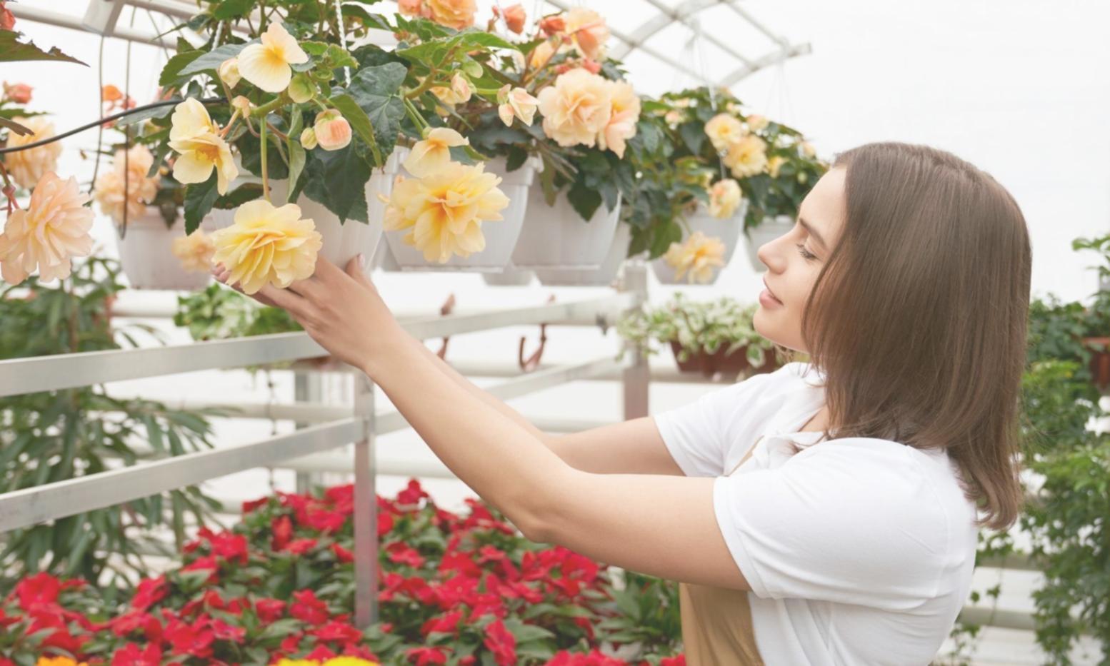 Early days of plant consultation work