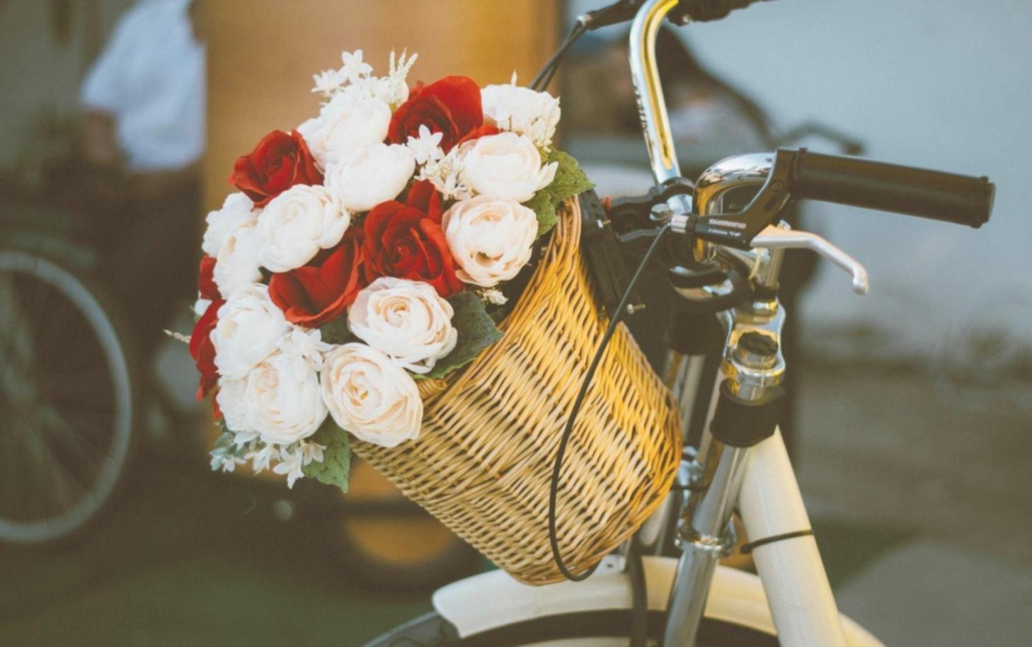 Modern plant consultation session